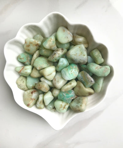 Chrysoprase Tumbled Stones - Gemstones&Co