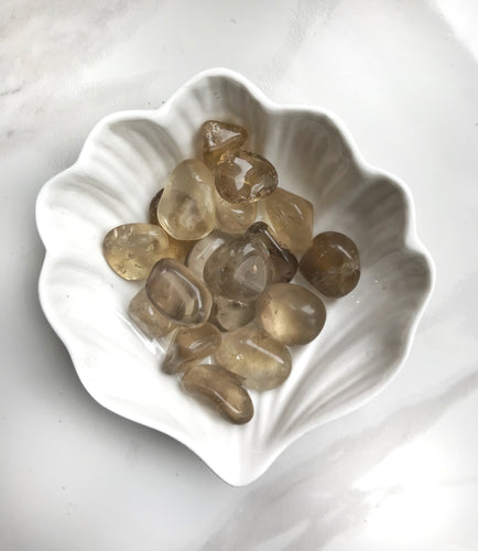 Smokey Quartz Tumbled Stones - Gemstones&Co